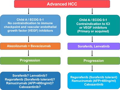 Cabozantinib for HCC Treatment, From Clinical Back to Experimental Models